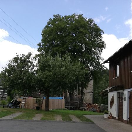 Fewo An Der Klosterruine Paulinzella Mit Kostenfreien Parkplatz Und Wlan Exterior foto